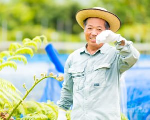 奄美フルーツファーム 農園で汗を拭う木村代表写真 1